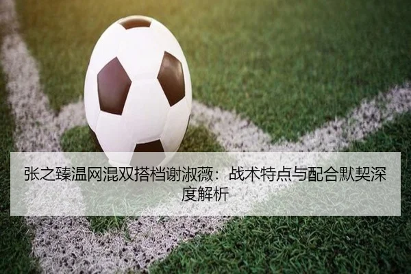 zhang-zhi-zhen-wen-wang-hun-shuang-da-dang-xie-shu-wei-zhan-shu-te-dian-yu-pei-he-mo-qi-shen-du-jie-xi-3-367.jpg