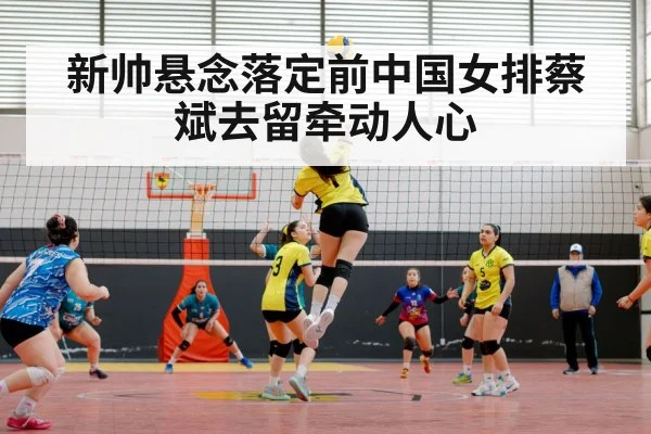 新帅悬念落定前中国女排蔡斌去留牵动人心