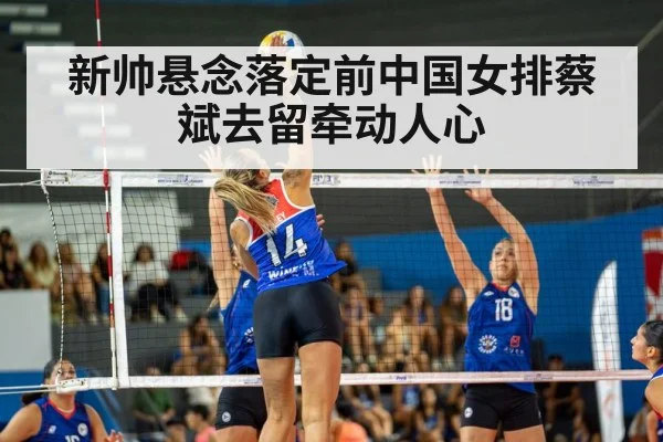 volleyball match