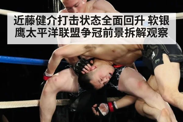 近藤健介打击状态全面回升 软银鹰太平洋联盟争冠前景拆解观察