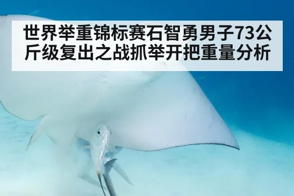 世界举重锦标赛石智勇男子73公斤级复出之战抓举开把重量分析